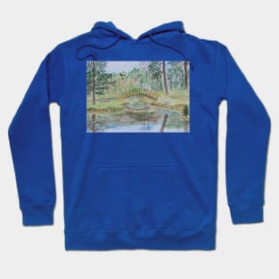 A pond with a bridge Hoodie